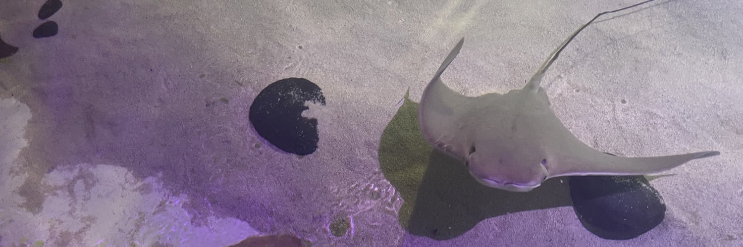 hallowallen's profile banner image