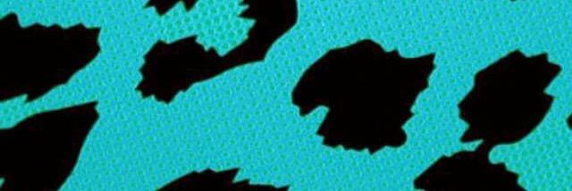 StephanieRubin9's profile banner image