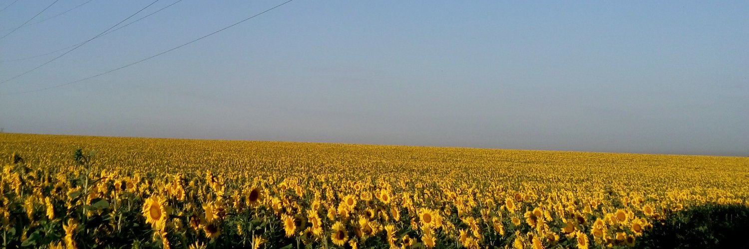 miboydp's profile banner image