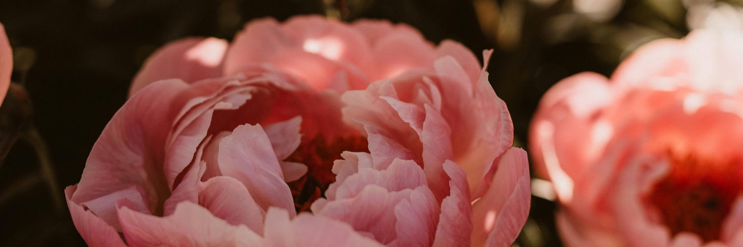 somemixedchickk's profile banner image