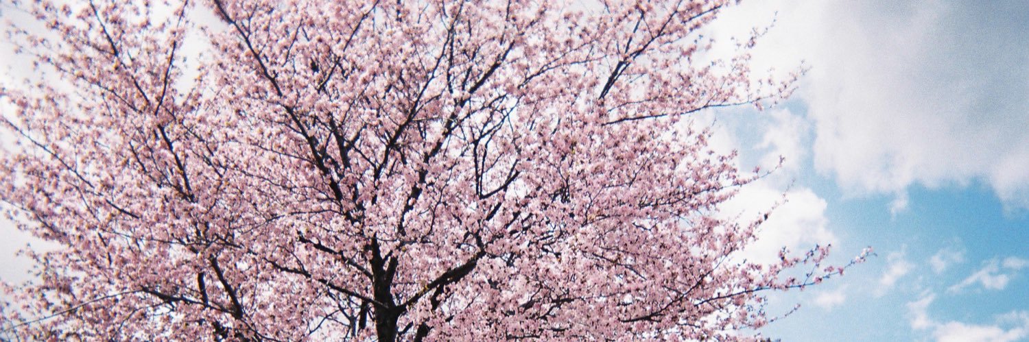 fraise265's profile banner image
