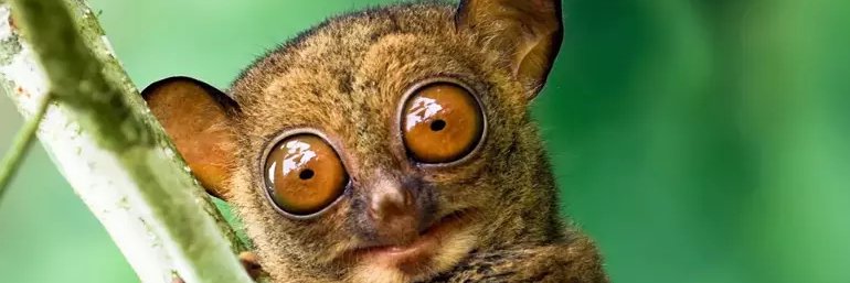 mendozqq's profile banner image