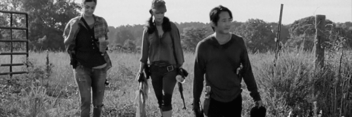 EcstaticRosita's profile banner image