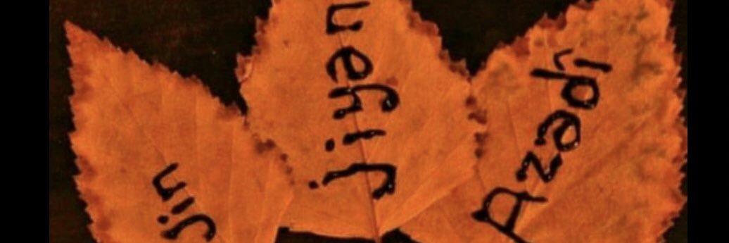 CigdemRoza's profile banner image