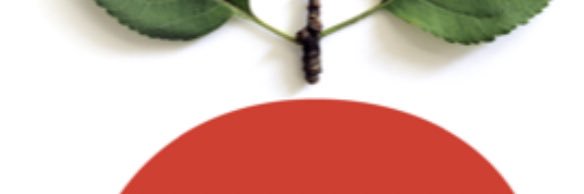 Rick Mullins banner