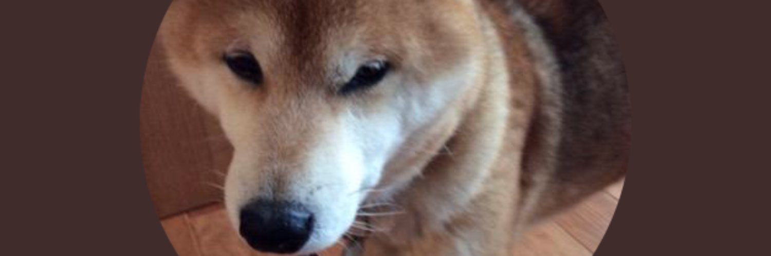 aoEmori's profile banner image