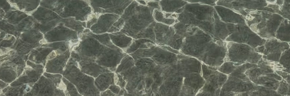 Cristina Ribes banner