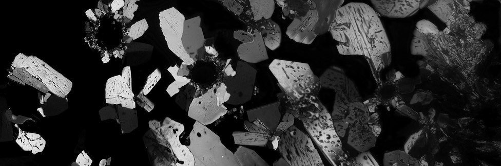 zozozoexo's profile banner image