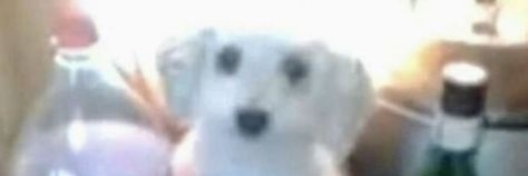 desiderrato's profile banner image