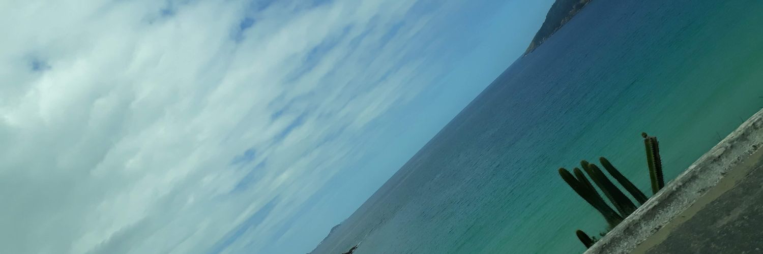 bbeatrizrocha's profile banner image