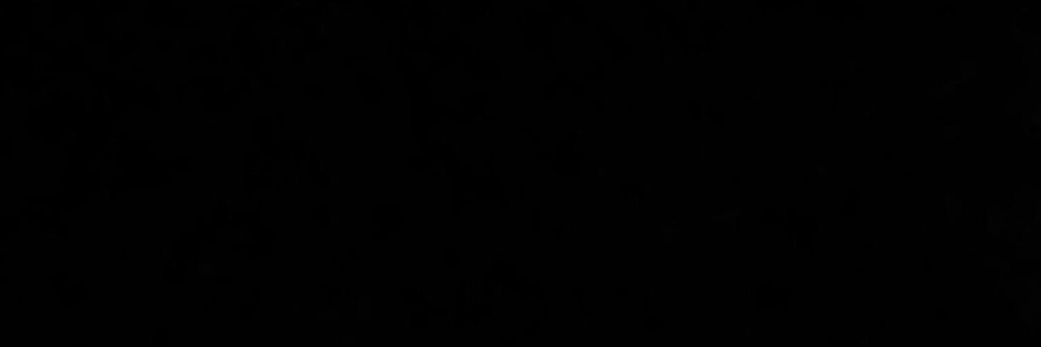 lara  banner
