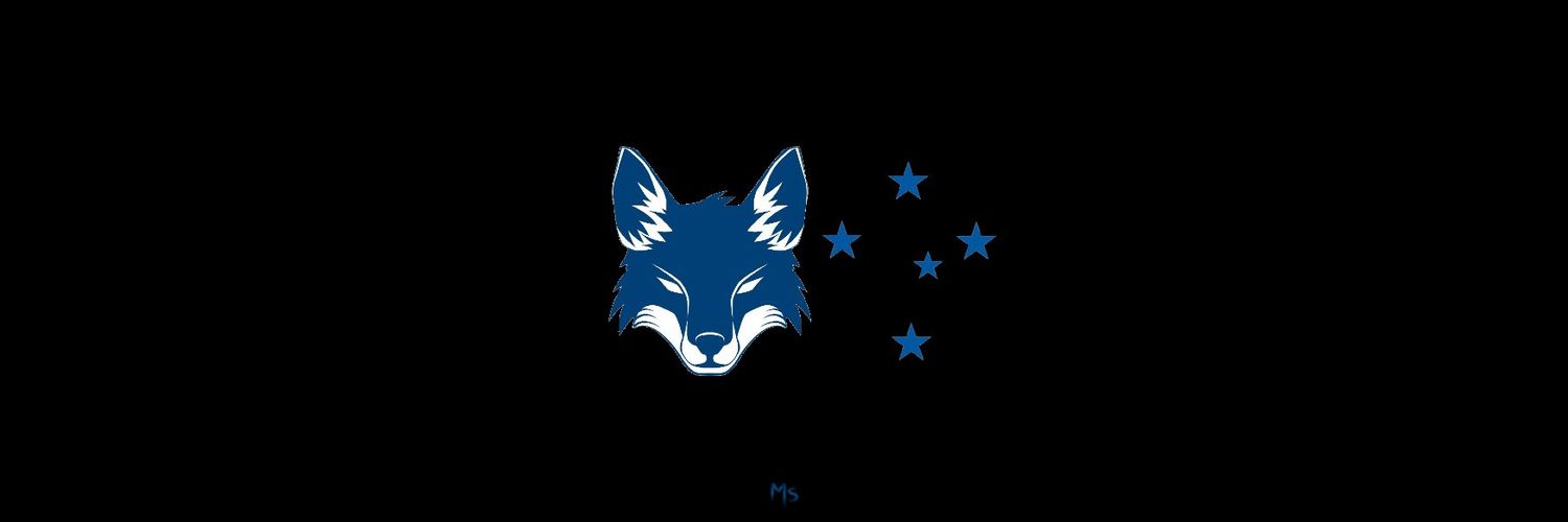 luizffb1's profile banner image