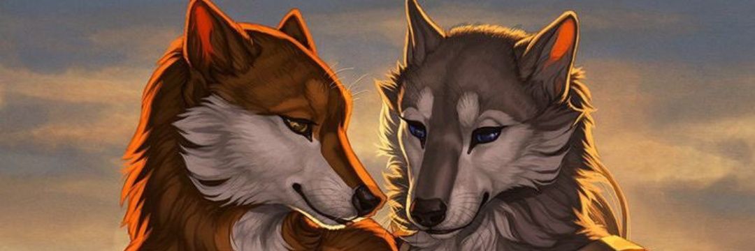 ankaraeak's profile banner image