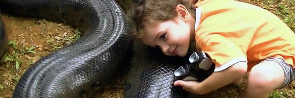 paixallan4 Profile Banner