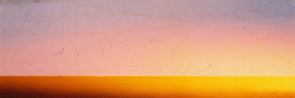 beetriss Profile Banner