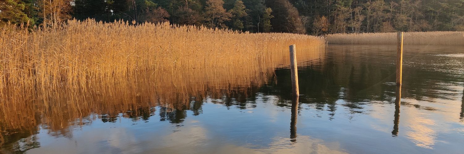 Juha Tapio 🇺🇦 🇮🇱🇪🇺🇺🇸🇫🇮 banner