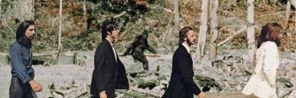 Carl P 🏳️‍🌈🏳️‍⚧️💚🧡🖖 banner