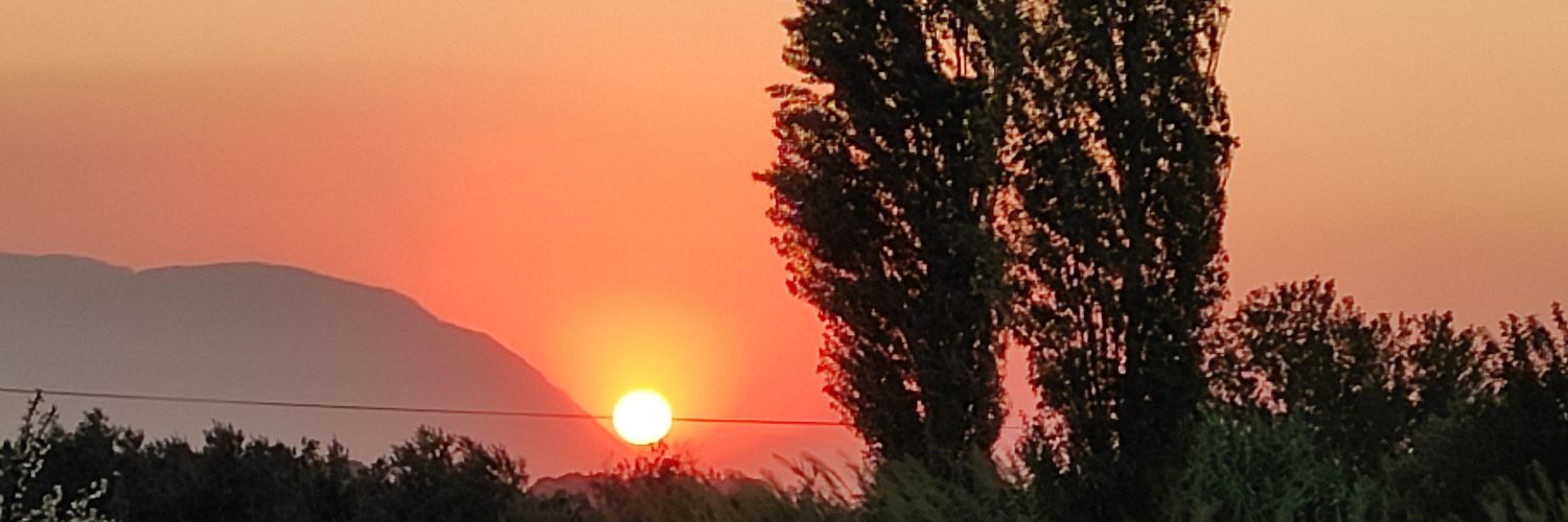bsrhrl's profile banner image