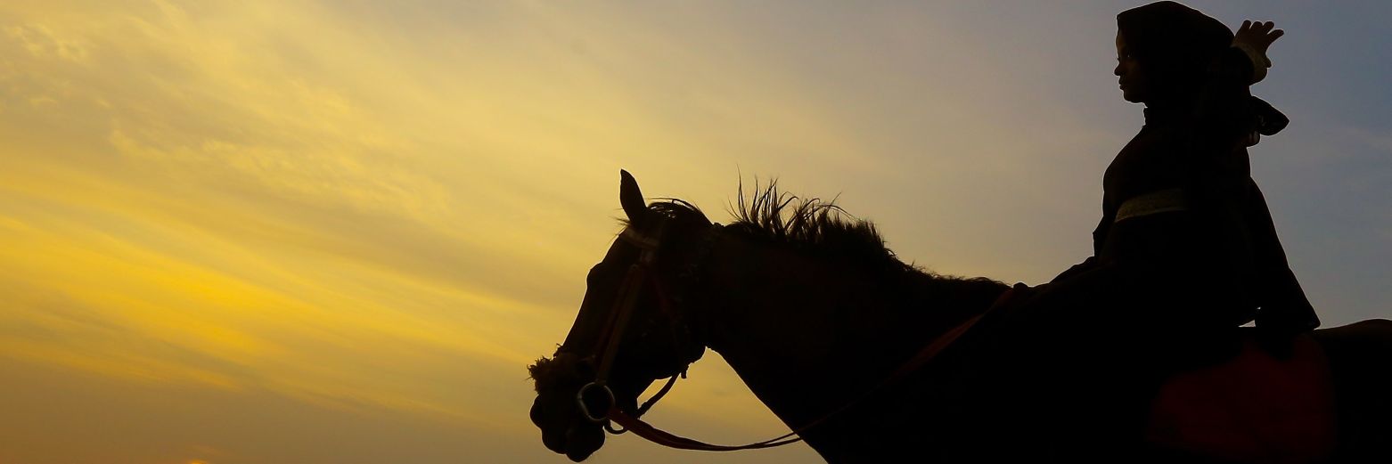 udim_ee's profile banner image