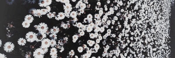 4zs__'s profile banner image