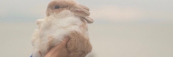 shamootf2 Profile Banner