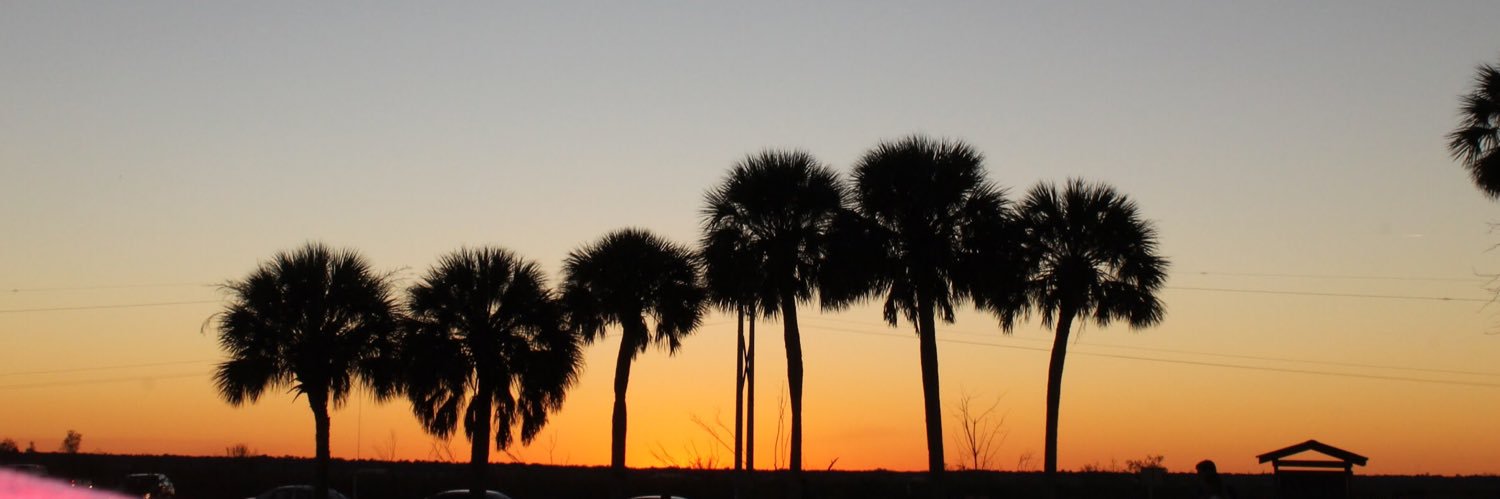 emenemo8's profile banner image