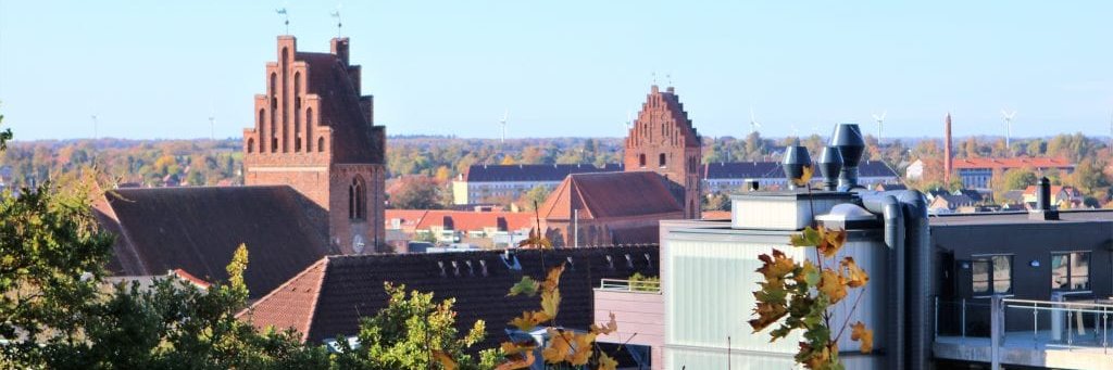 ditnaestved's profile banner image