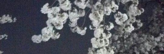 chabe072574's profile banner image
