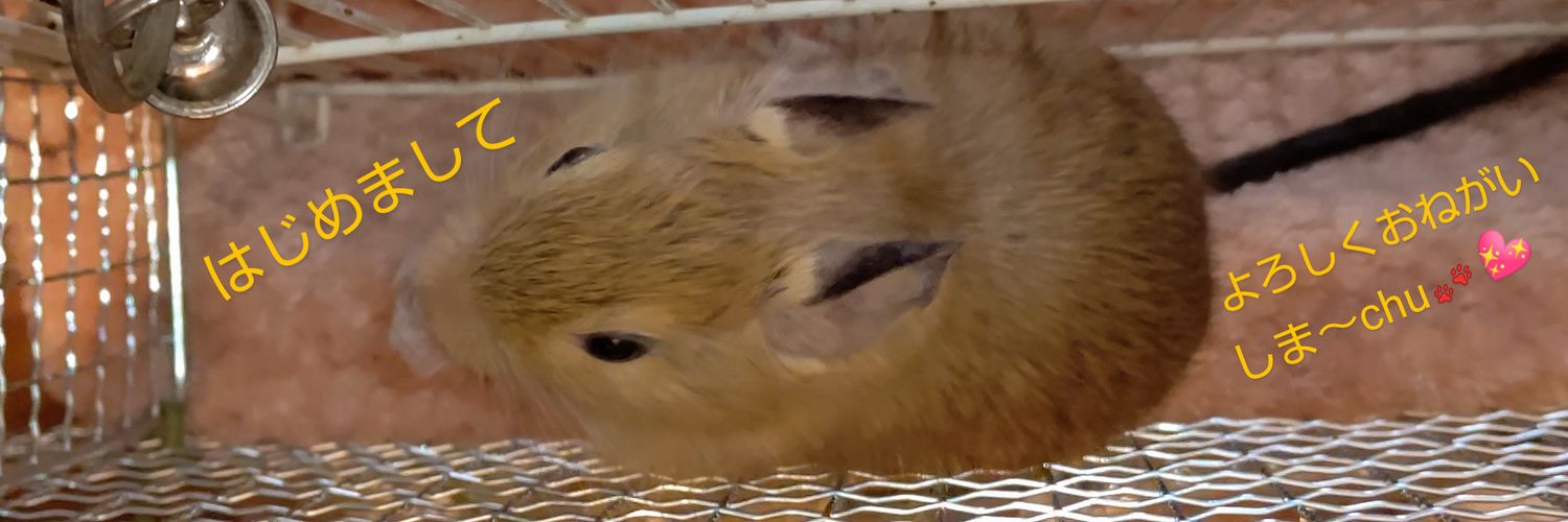 Tulpena's profile banner image