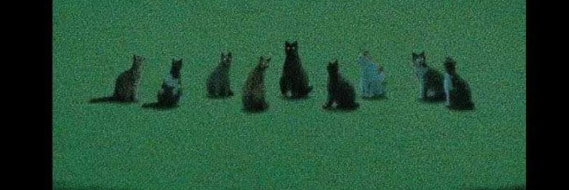 80NM_77's profile banner image