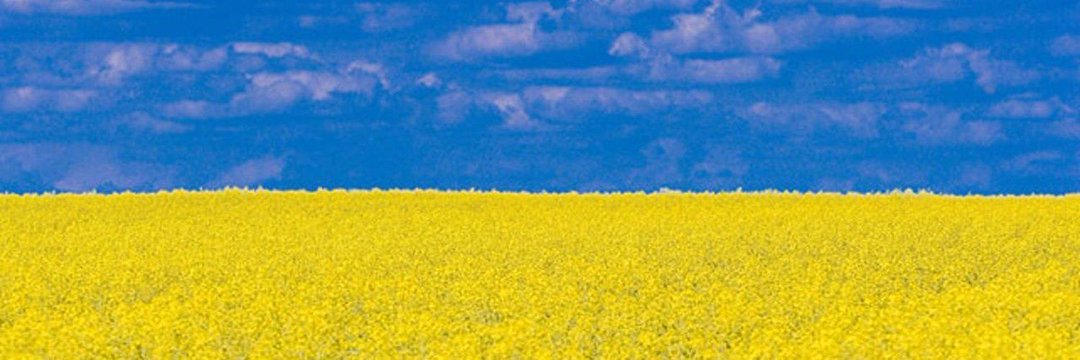 oacarr's profile banner image