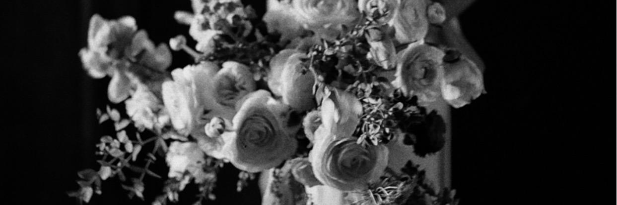 AllisonBaddley's profile banner image