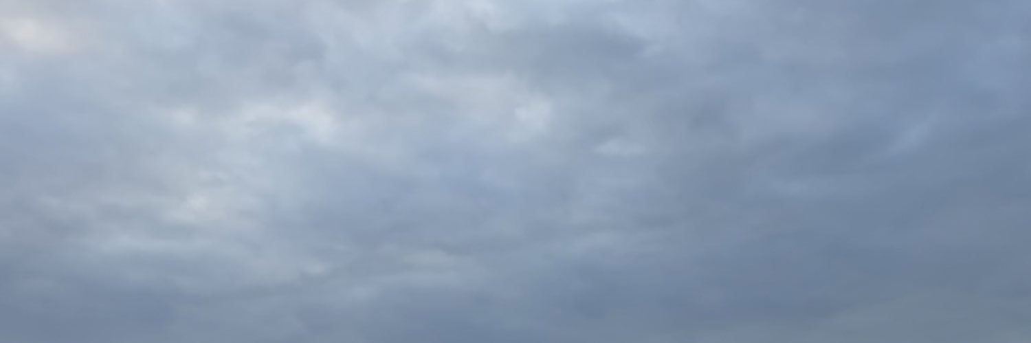 hoaxanna's profile banner image