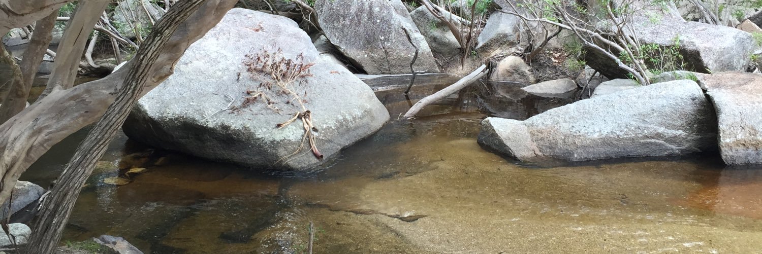 4th tackle settler banner