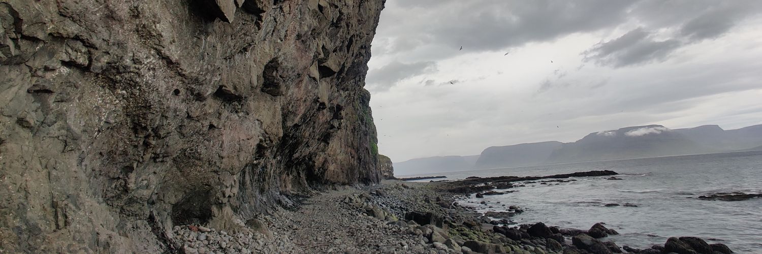 Castor_Pollux's profile banner image