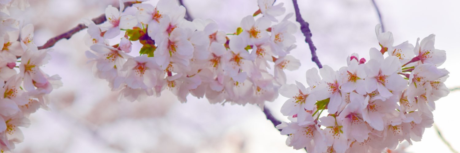 axtt_sky's profile banner image