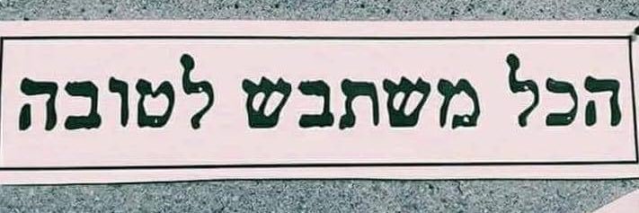 מאיה מועלם banner
