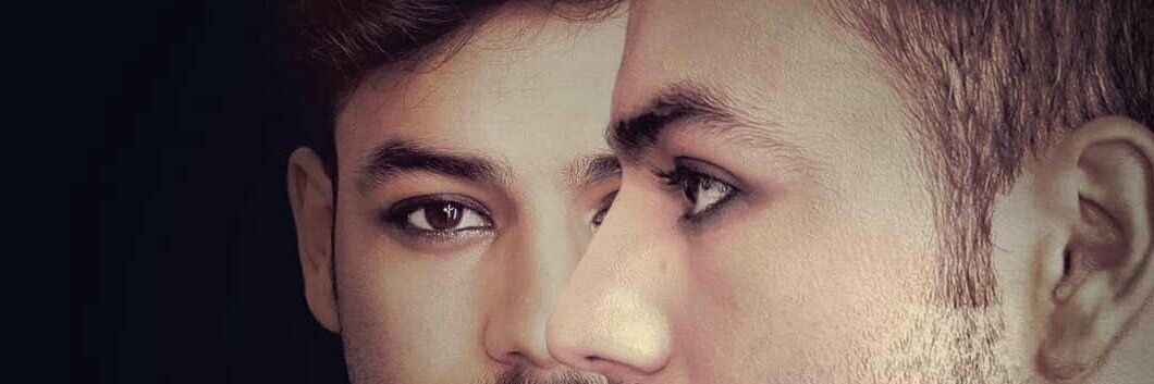 Berlioz Silvia banner