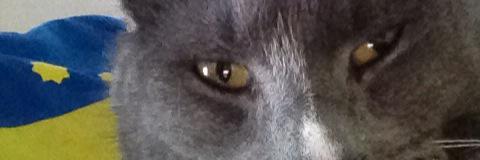 Nick van der Weide banner