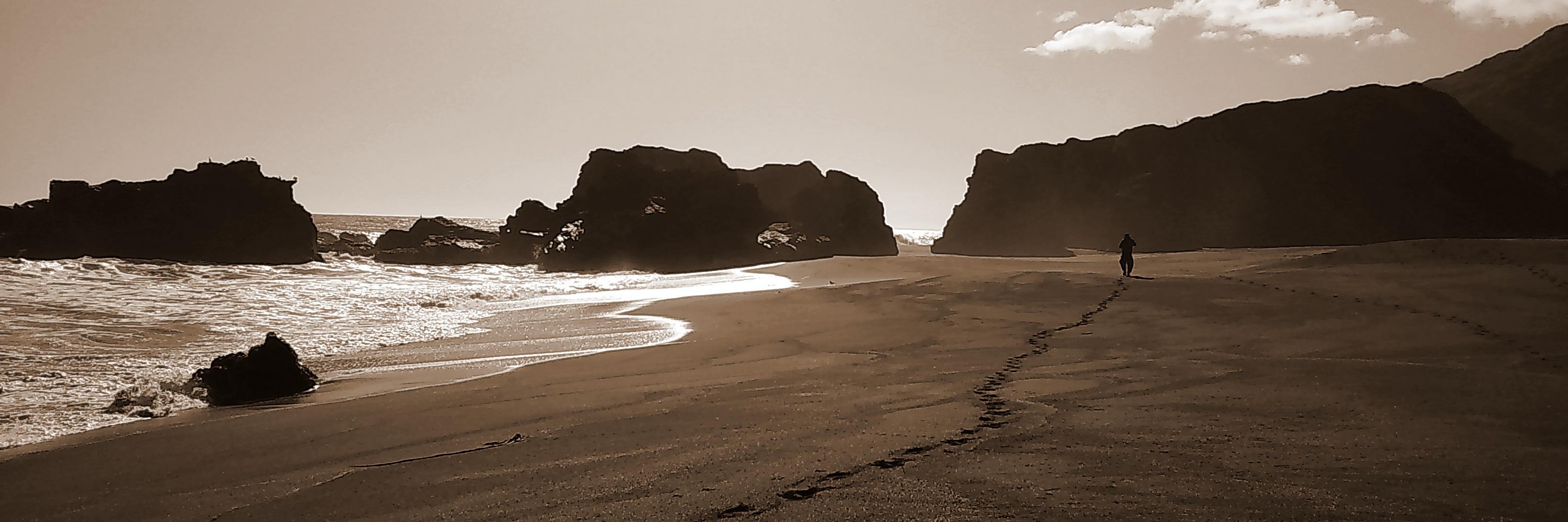 PlanktonExplore's profile banner image