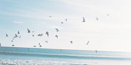 makedefamouss's profile banner image