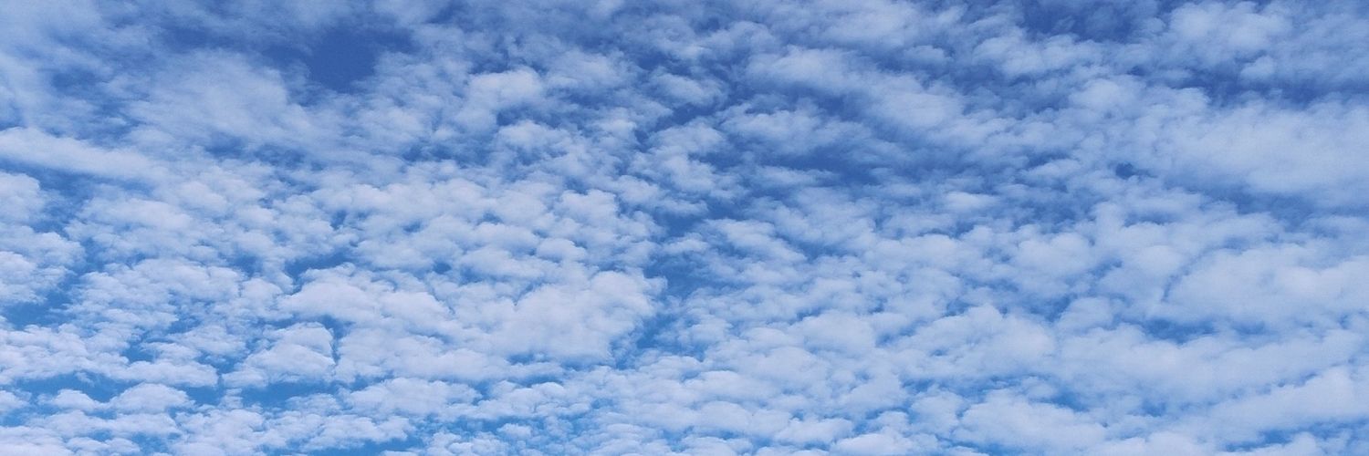 icelattte_'s profile banner image