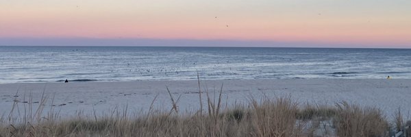 labarcaamy Profile Banner