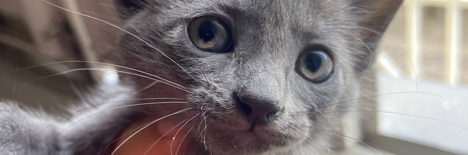_jayninhaah's profile banner image