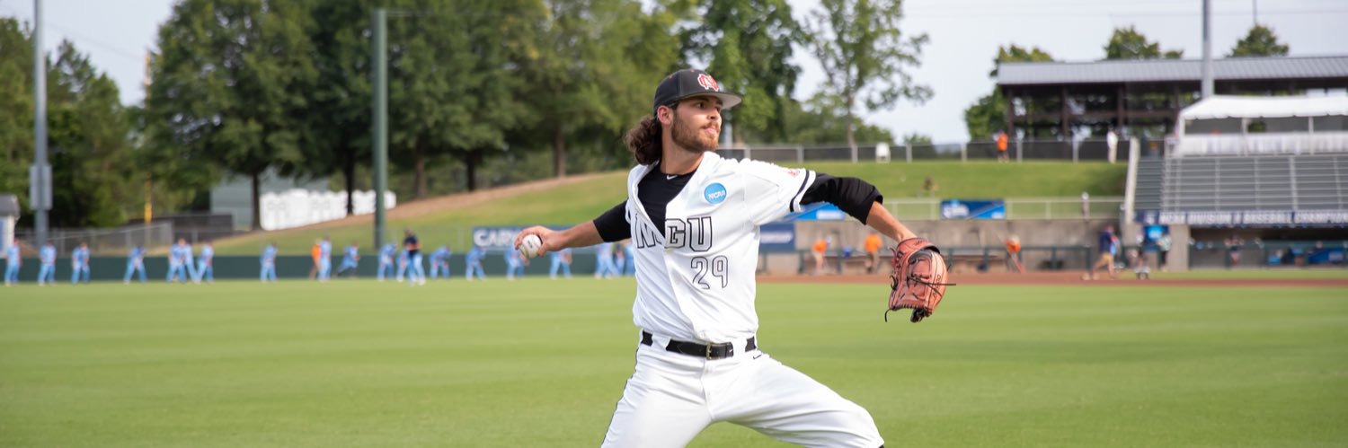 Hamilton Reece Fields banner