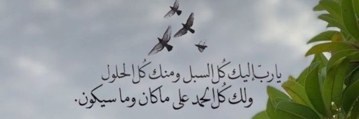 1alwarda1_'s profile banner image