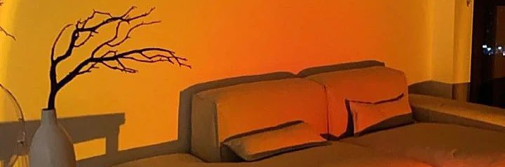 chassstityy's profile banner image