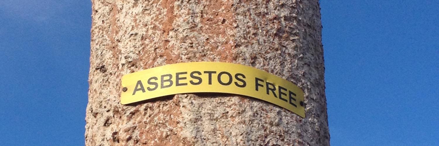 veggie burger in paradise banner