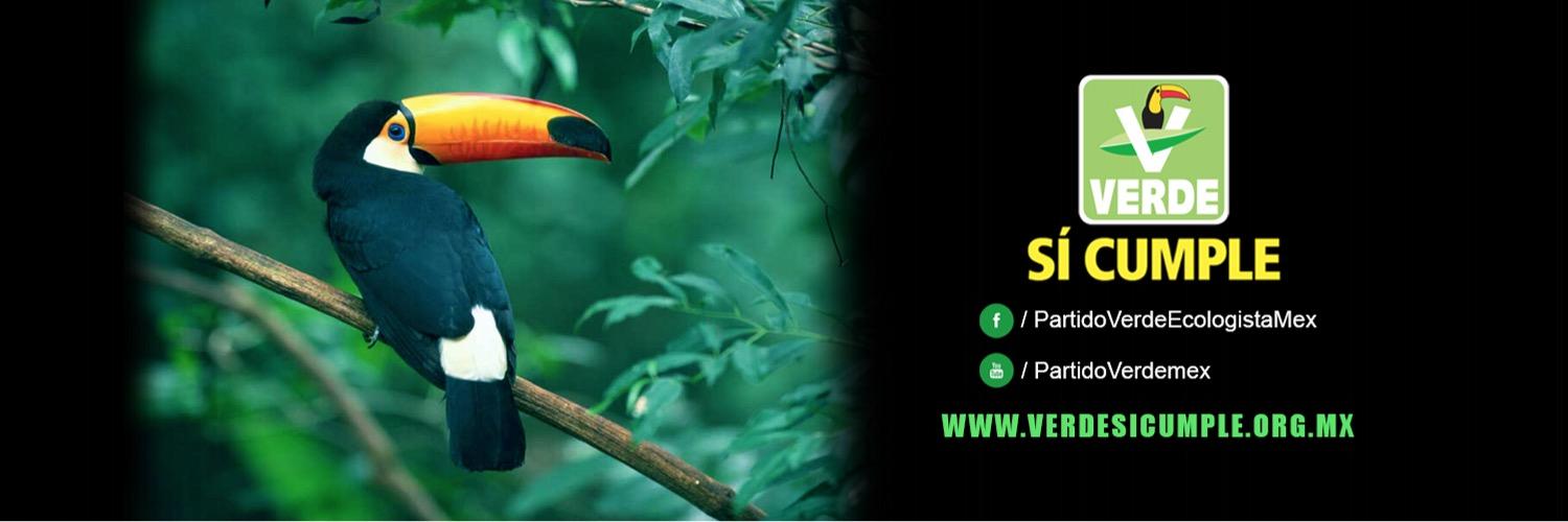 Partido Verde banner