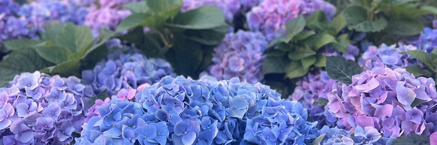 reemaiiny's profile banner image